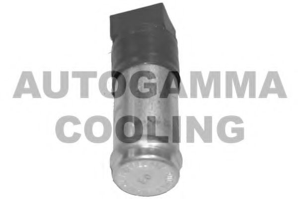 GA15624 AUTOGAMMA Cooling System Pre-resistor, electro motor radiator fan