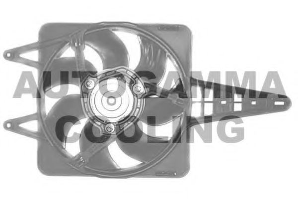GA201175 AUTOGAMMA Fan, radiator