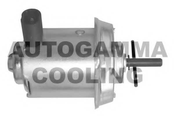 GA201655 AUTOGAMMA Cooling System Fan, radiator