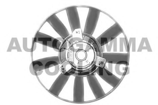 GA201671 AUTOGAMMA Fan, radiator