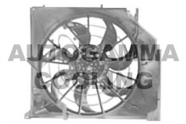 GA201791 AUTOGAMMA Fan, radiator