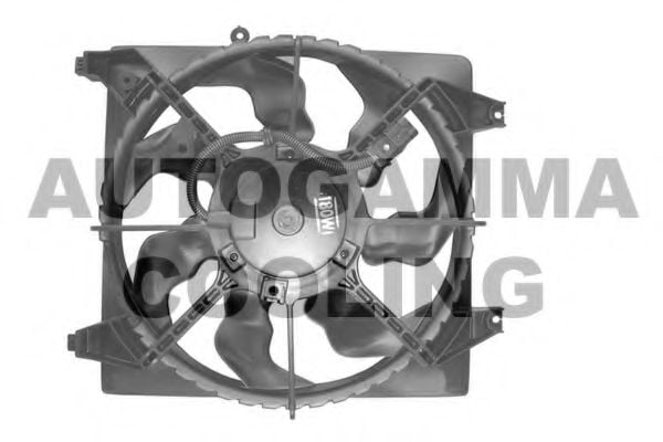 GA228011 AUTOGAMMA Fan, radiator