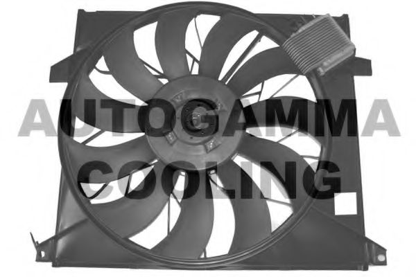 GA226007 AUTOGAMMA Cooling System Fan, radiator