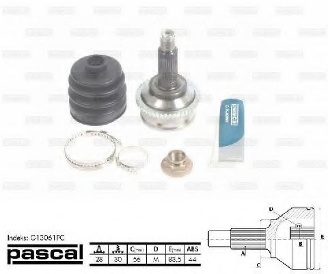 PASCAL G13061PC