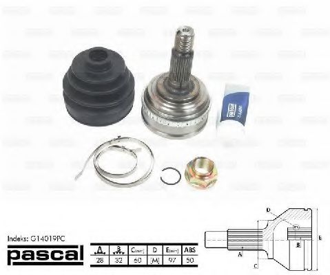 G14019PC PASCAL Final Drive Joint Kit, drive shaft