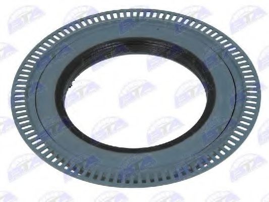 B06-1006 BTA Shaft Seal, wheel bearing