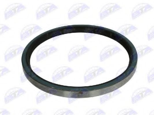 B06-2033 BTA Shaft Seal, wheel bearing