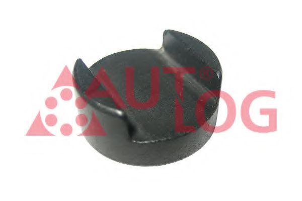 NZ5005 AUTLOG Engine Timing Control Thrust Piece, in-/outlet valve