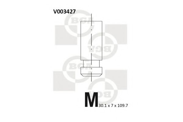 V003427 BGA Motorsteuerung Auslassventil