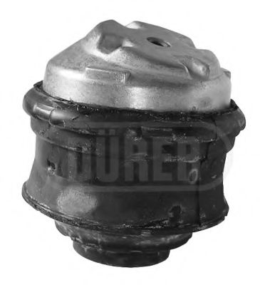 SM10009 D%C3%9CRER Engine Mounting Engine Mounting