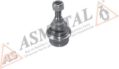 10RN1100 ASMETAL Wheel Suspension Ball Joint
