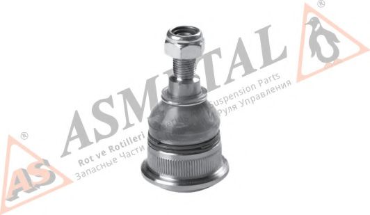 10RN5205 ASMETAL Wheel Suspension Ball Joint
