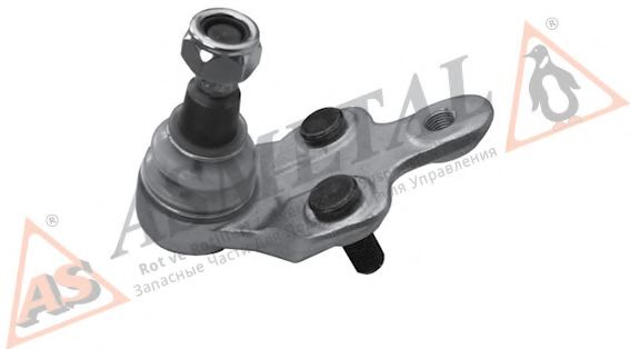 10TY1010 ASMETAL Ball Joint