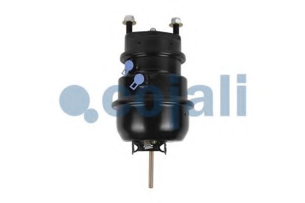 COJALI 2851108