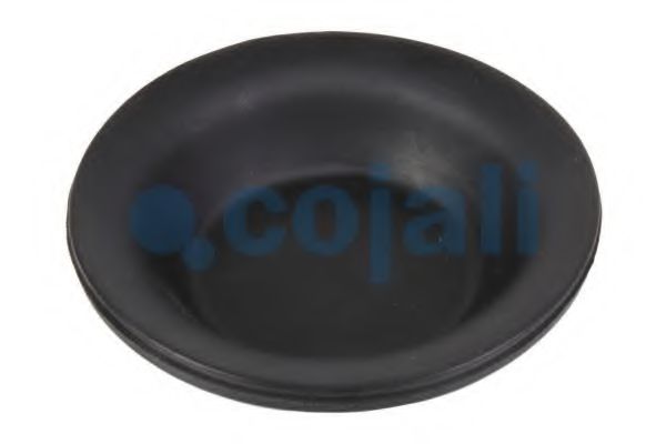 6001100 COJALI Тормозной диск