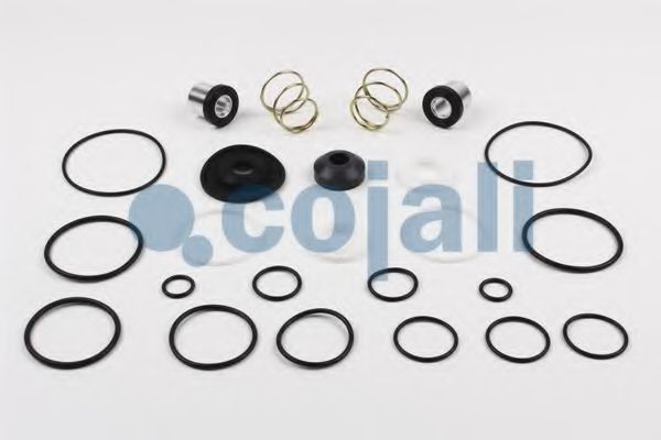6012011 COJALI Soot/Particulate Filter, exhaust system