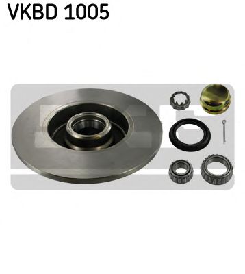 VKBD 1005 SKF Brake Disc