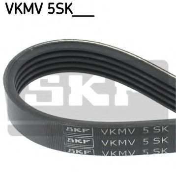 VKMV 5SK711 SKF V-Ribbed Belts