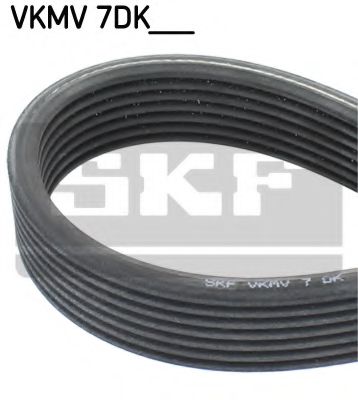 VKMV 7DK1400 SKF V-Ribbed Belts