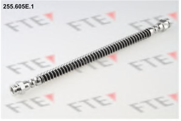 FTE 255605E1