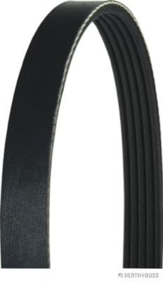 J1051013 HERTH%2BBUSS+JAKOPARTS Belt Drive V-Ribbed Belts