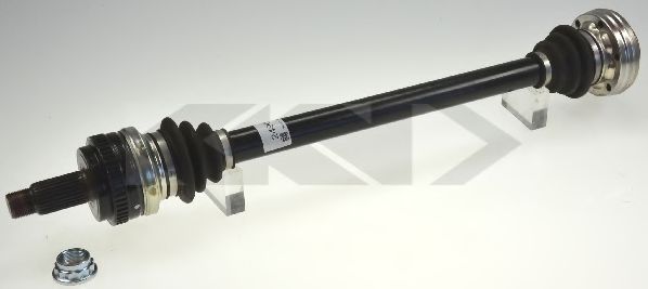305162 L%C3%96BRO Carbon Brush, alternator