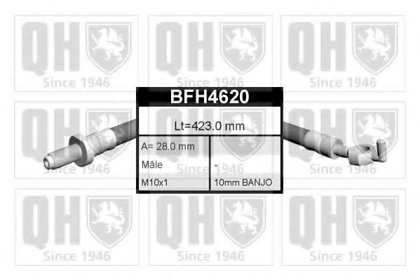 BFH4620 QUINTON HAZELL Brake Hose