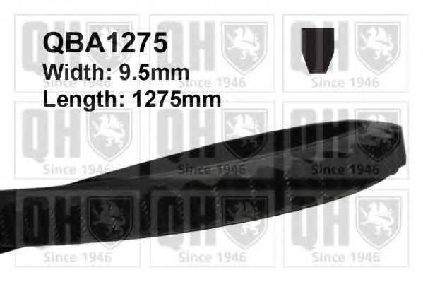 QBA1275 QUINTON+HAZELL V-Belt