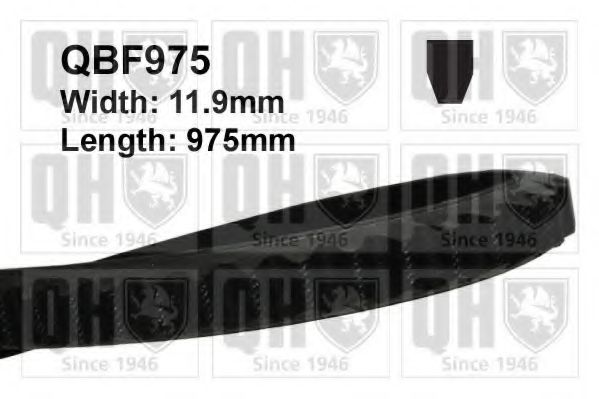 QUINTON HAZELL QBF975