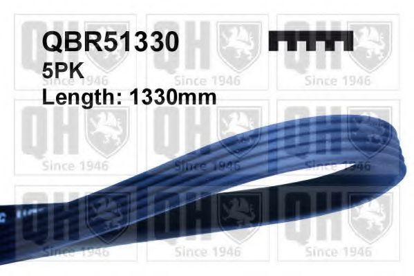 QBR51330 QUINTON HAZELL V-Ribbed Belts