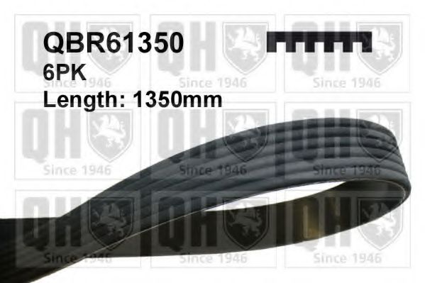 QBR61350 QUINTON HAZELL V-Ribbed Belts