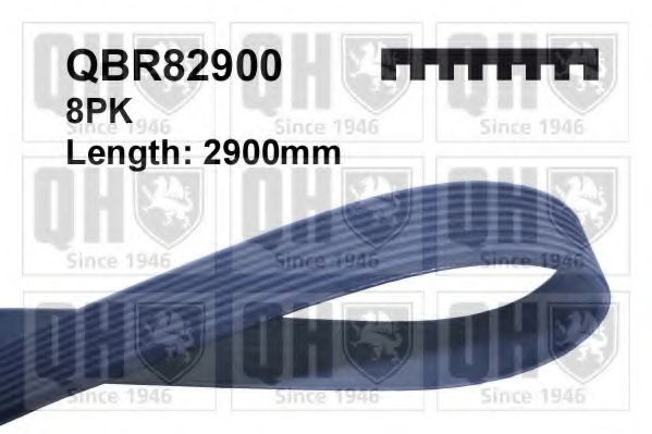 QBR82900 QUINTON+HAZELL V-Ribbed Belts