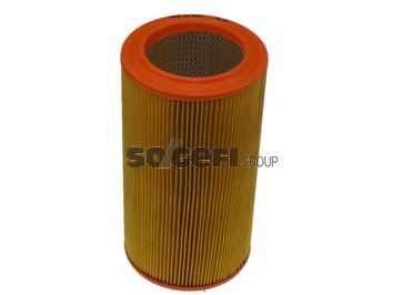 CA3943 FRAM Air Filter
