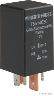 Control Unit, glow plug system