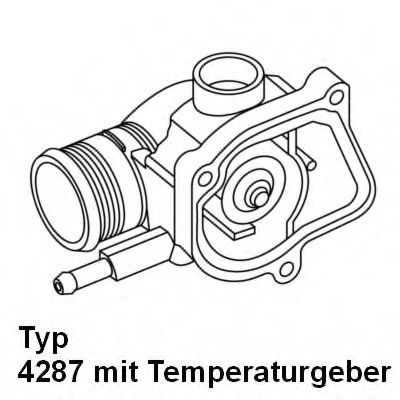 4287.92D WAHLER Thermostat, coolant