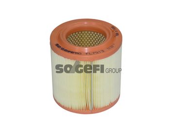 FL7913 SOGEFIPRO Система подачи воздуха Воздушный фильтр