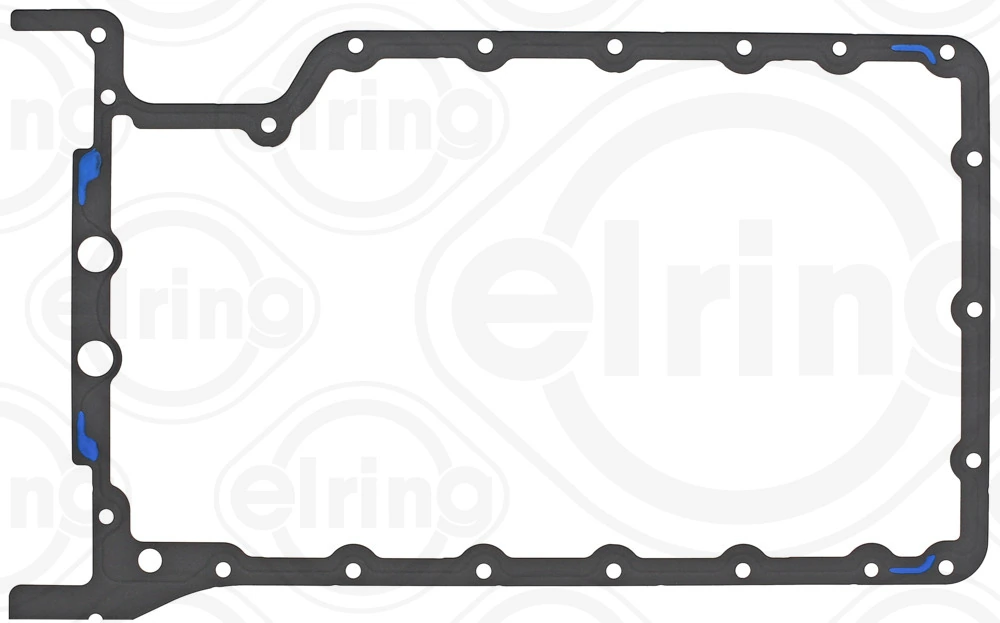 ELRING 009.087