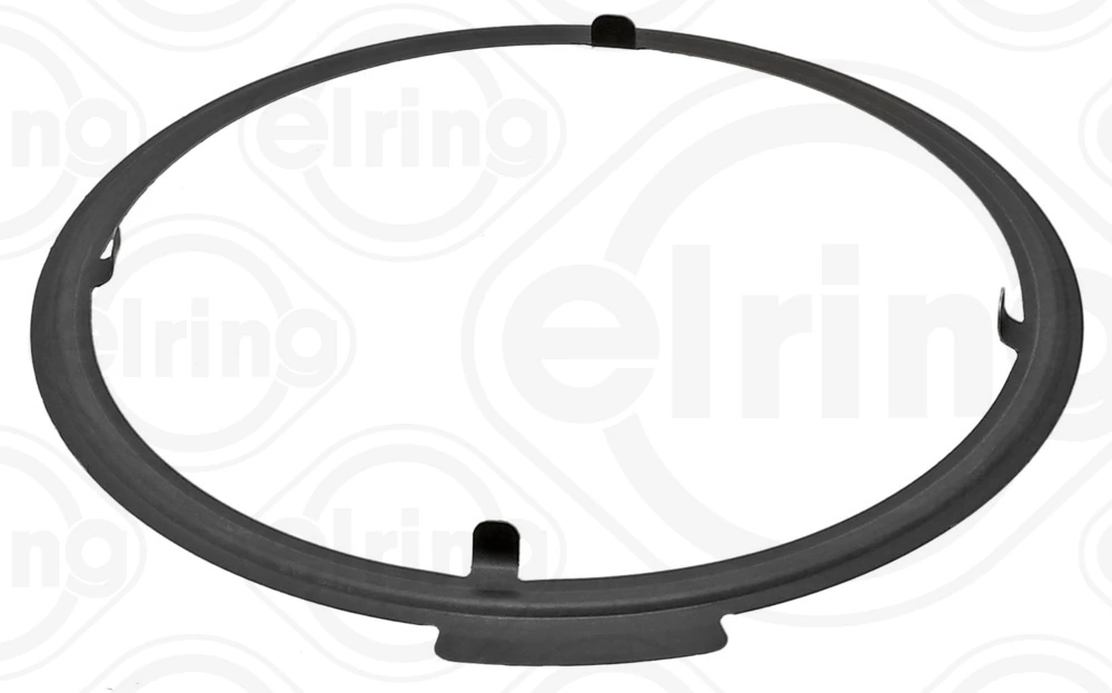ELRING 005.250