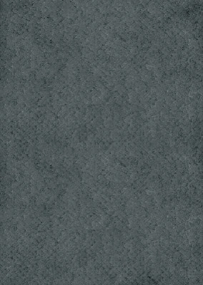 ELRING 003.620