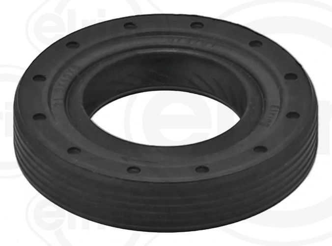 ELRING 244.040