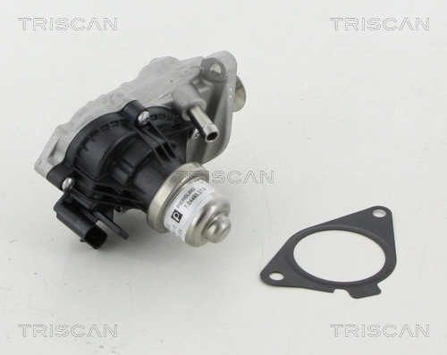 TRISCAN 8813 11007