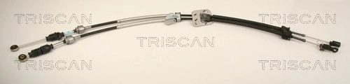 TRISCAN 8140 13704