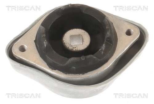 TRISCAN 8505 29219