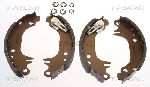 TRISCAN 8100 10006