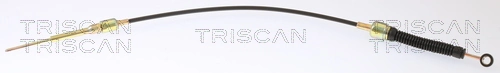 TRISCAN 8140 29761