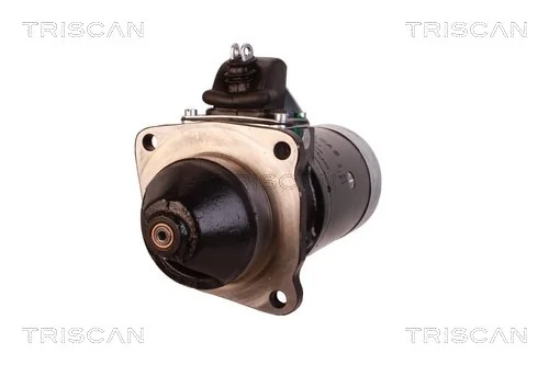 TRISCAN 8305 29069