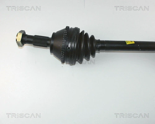 TRISCAN 8540 10513