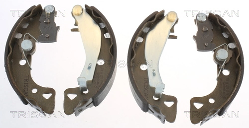 TRISCAN 8100 10488