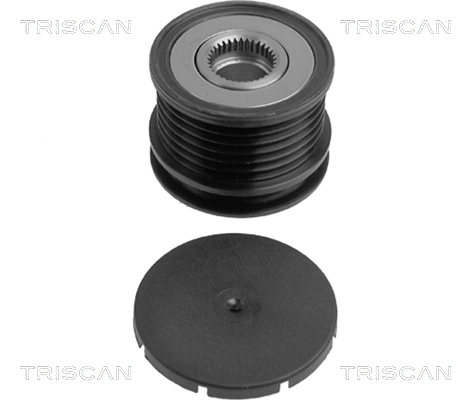 TRISCAN 8641 234004