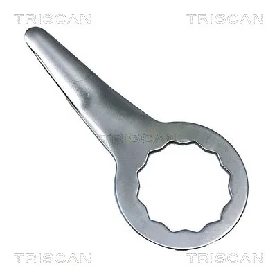 TRISCAN R950097